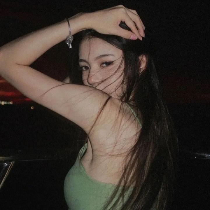 一个叫欧维的男人决定去死